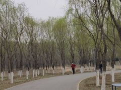 -东郊湿地公园
