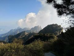 -王莽岭风景区