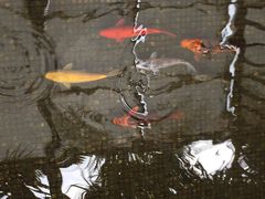 iphone_upload_pic-南宁红林大酒店