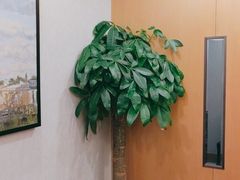 -金时代顺风大酒店(临港百联店)