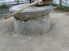 -草根堂农场