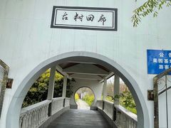 -南汇桃花村
