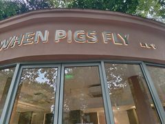 -WHEN PIGS FLY当猪飞