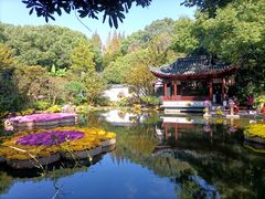 -汇龙潭