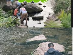 -重庆彩云湖湿地公园
