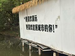 -芭厘·农庄老字号.电饭煲五指毛桃焗鸡