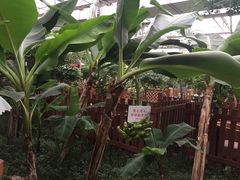 -汤山翠谷生态餐厅