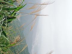 -不厌亭