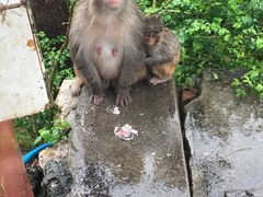 -碧水湾温泉