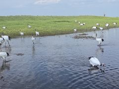 -黑龙江扎龙生态旅游区