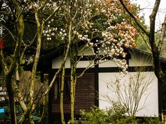 -中国茶叶博物馆(双峰馆区)