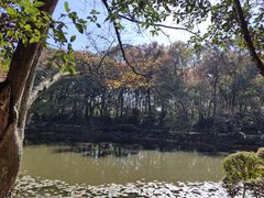 -灵谷景区