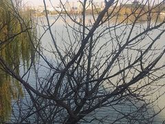 -东湖景区
