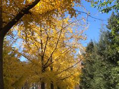 -元大都城垣遗址公园