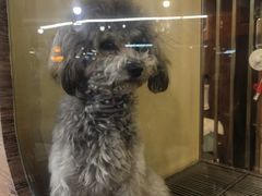 -宠物世家(仲盛世界商城店)