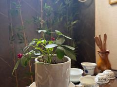 -兰亭茶叙(新新家苑店)