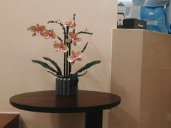 -Again Coffee Roaster(香蜜湖店)