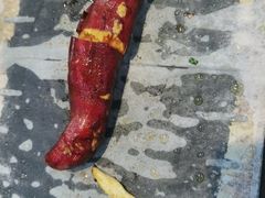 -苏格里岛自助海鲜烤肉(青秀万达店)