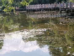 -黑龙江省森林植物园