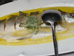 -淮扬府·游园京梦(北京SKP店)