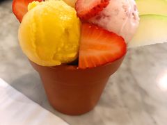 -哈根达斯(西安高新店)