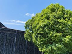 -中国美术学院象山校区-民艺博物馆