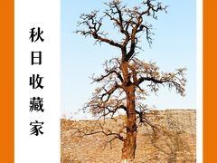 -北京明城墙遗址公园