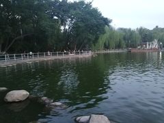 -莲湖公园