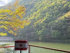 -龙道沟景区