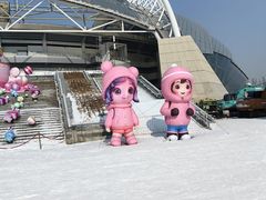 -沈阳奥体冰雪嘉年华