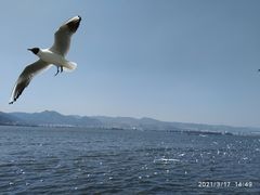 -海埂大坝