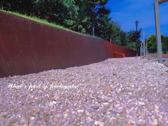 -莫子山公园
