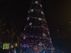 -丫丫汤膳打边炉(宏府408坊店)