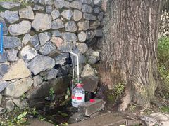 -阳台山自然风景区