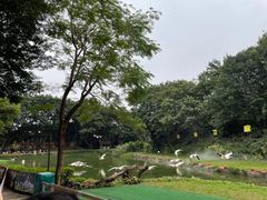 -广州长隆飞鸟乐园