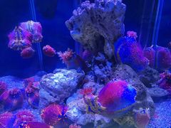 -太平洋海底世界