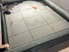 -鹏天阁酒楼·海鲜(红旗店)
