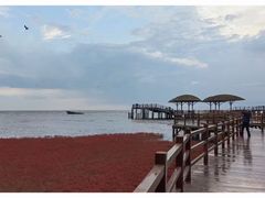 -红海滩国家风景廊道