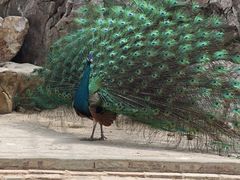 -八景休閒山莊  廣東十大名山莊