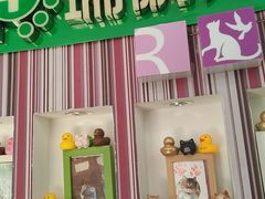 -瑞鹏·疫苗·绝育·宠物医院(金沙洲店)