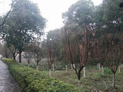 -石燕湖生态旅游景区
