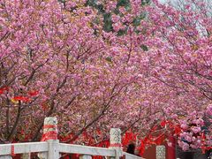 -石岛赤山风景区