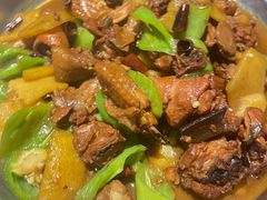 -黄三怪(动物园·无影山店)