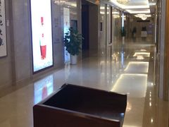 -郑州新郑国际机场T2航站楼-贵宾厅B区