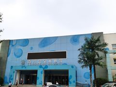 -南宫温泉水世界