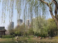 -堤角公园