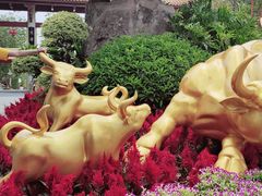 -广州莲花山旅游区