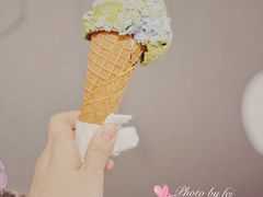 燕麦地球-Dal Cuore 达可芮冰淇淋(陕西北路店)