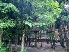 -武陵山森林公园