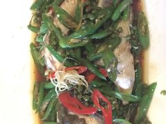 -锦江宾馆-花园餐厅